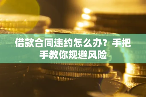 武汉借款合同违约怎么办？手把手教你规避风险