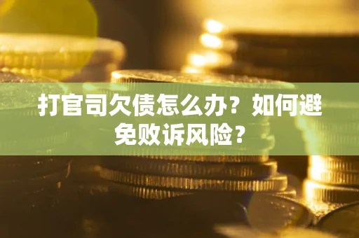 武汉打官司欠债怎么办？如何避免败诉风险？