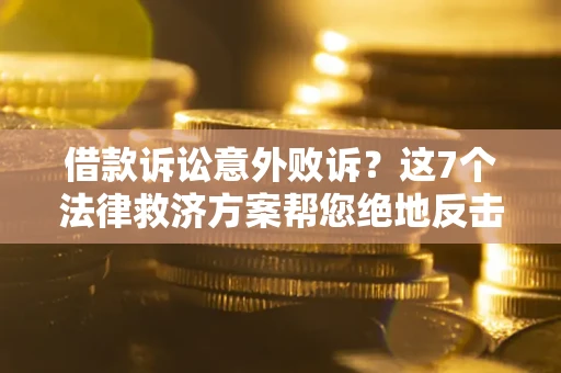 武汉借款诉讼意外败诉？这7个法律救济方案帮您绝地反击！