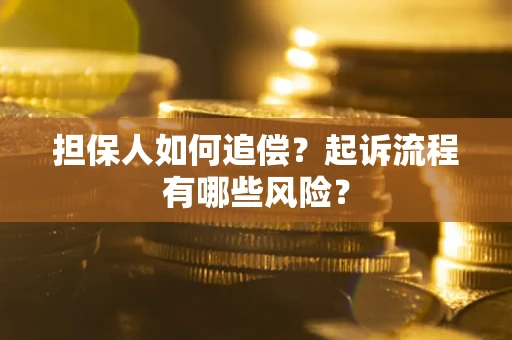 武汉担保人如何追偿？起诉流程有哪些风险？