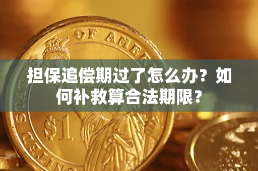 武汉担保追偿期过了怎么办？如何补救算合法期限？