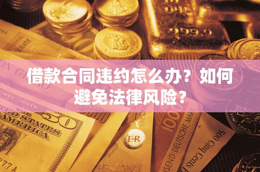 武汉借款合同违约怎么办？如何避免法律风险？